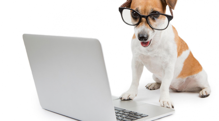icomm-dell-smartjob.png